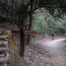 Bicycle (a maximum of 10 bicycles on the lower deck per departure when the lower deck is not used for passenger carriage. Hills And Thrills Four Breathtaking Hong Kong Bike Rides Todayuknews