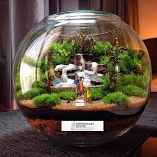 Terrarium Scene Jardines Jardines Verticales Terrarios