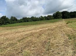 Land for sale kodak tn. East Tennessee Small Farm For Sale Kodak Tn Vancnt Land