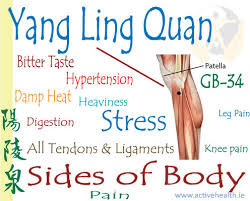 Image result for Yanglingquan acupoint