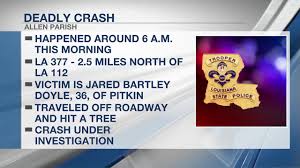 Pitkin man dies in single-vehicle crash in Allen Parish