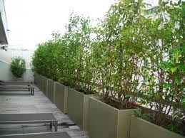 Bacs A Plantes Pour Former Un Brise Vue Amenagement Jardin Jardiniere Terrasse Brise Vue C'est pourquoi elle peut être agrémentée d'un pot ou bac à fleurs, par exemple. bacs a plantes pour former un brise vue