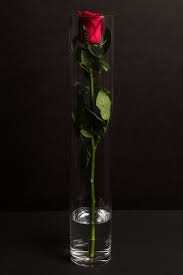 We did not find results for: Maison Fleur Florist