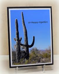 If you get the sap in your eyes, flush, flush flush, then get to the er asap. Happy Cacti Anniversary Card And 2 Products Worth Mentioning I Played With Paper Today