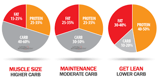 Those seeking to gain muscle mass should exceed this by a significant margin. 13 Macronutrient Ratio Ideas Macronutrient Ratio Nutrition Good Carbs