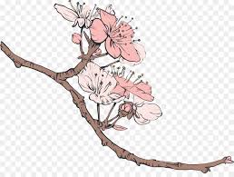 For ladies, with light skin tones and cool or pink undertones, you should wear the soft pink shades for a natural look and the peach/coral shades for a pop of color. Cherry Blossom Tree Drawing