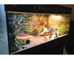 Image result for Terrarium Cling Background