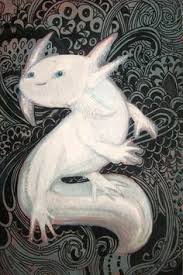 Check spelling or type a new query. 51 Axolotl Drawing Ideas Axolotl Axolotl Cute Drawings