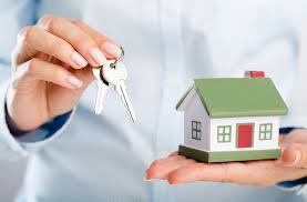 Home Improvement Advice You Should Know About