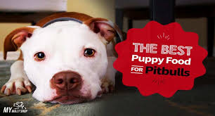 The Best Puppy Food For Pitbulls In 2020 Best Puppy Food Pitbulls Puppy Food