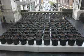 '7,000 eichen' (7,000 oaks), 1982. Beuys Acorns Ackroyd Harvey