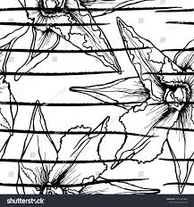 Black And White Flower Background Vector Tropical Modern Motif Black And White Summer Jungle Leaf On Stripes Background Trending Line Cont Amazing Flowers Trendy Flowers Flower Background Wallpaper