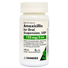 Image result for Amoxicillin