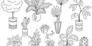 Foto yang dirubah menjadi hitam putih di sini saya bagi menjadi dua bagian. Hormon Hormon Yang Memengaruhi Pertumbuhan Dan Perkembangan Tumbuhan Halaman All Kompas Com