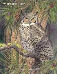 Montevallo Today, Spring 17 by University of Montevallo