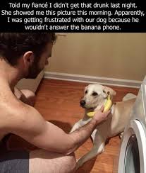 Afternoon Funny Meme Dump 37 Pics Funny Dog Memes Dog Memes Funny Dogs