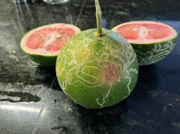 Help! About half of my grapefruit tree is infected with something. What can  I do to save my fruit?