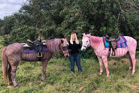 Prices listed are for a one hour party. Choyce Party Ponies Clown Bounce Choyce Llc