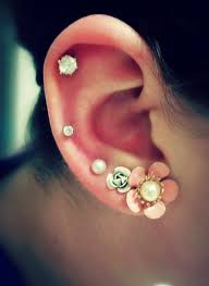 Pin By Natalie Kilpatrick On Horses Breeds Arabians Cute Piercings Cute Ear Piercings Piercings