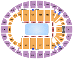 disney on ice 100 years of magic snhu arena tickets