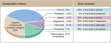 Pie Chart With Chemical Composition Of Bone As Well As The