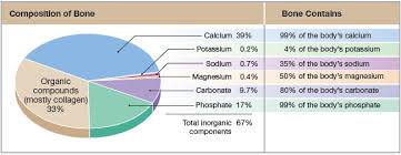 pie chart with chemical composition of bone as well as the