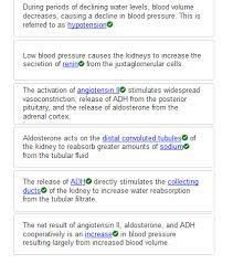 Chapter 26 Urinary System Flashcards Quizlet