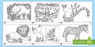 Malvorlage waldtiere | tiere im wald. 162 Top Tiere Teaching Resources