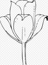  Contoh Gambar Ilustrasi Bunga Sakura 39 Gambar Sketsa Bunga Indah Sakura Mawar Melati Matahari Ilustrasi Inda Ilustrasi Bunga Sakura Sketsa Sketsa Bunga