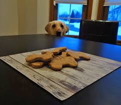 No corn, wheat or soy and their glutens. Homemade Low Fat Dog Treat Recipe My Dog S Name