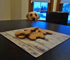 Liver and potato dog treats. Homemade Low Fat Dog Treat Recipe My Dog S Name