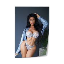 Amazon.com: UBVFDLCA Model Stella Versini Art Sexy Poster2 Canvas Art Wall  Poster Printing Office Bedroom Aesthetic Poster Living Room  12x18inch(30x45cm) Unframe-style: Posters & Prints