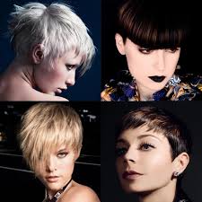Kolekce podle kategorie veronika balickova • poslední aktualizace: Pixie Ucesy 2021 New Strizhki Piksi 2020 2021 101 Foto Novinki Hair Styles Short Hair Styles Pixie Thick Hair Styles C Copyright C 2016 Tempo Co Foto