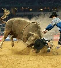 Pin By Pascal Alix On Bull Riding Pbr Bull Riding Bull Riding Western Riding