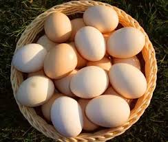 However, when you need to make 24…. How Long Do Hard Boiled Eggs Last Layers Machinery
