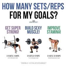 How Many Exercises Per Muscle Group Are Ideal Shredded Lifestyle In 2020 Fun Workouts Online Fitness Coaching Online Workouts