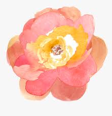 Download Free Fall Watercolor Floral Water Color Flower Clip Art Free Hd Png Download Kindpng