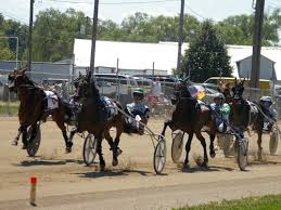 1st half of harness racing complete