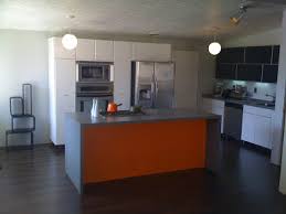mid century modern kitchen painting