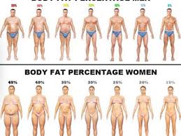 How lean do you need to be to get great abs? Men And Woman Body Fat Examples Chameleon Web Services