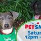 DOG Adoption Event at PetSmart in Bethesda event in Bethesda, MD