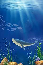 الأزرق المحيط الحيوان الحوت deep sea animals sea animals animals