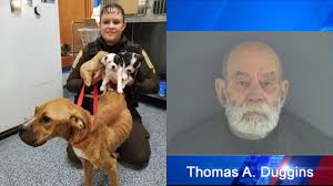 Dogs literally jumped into our arms': Authorities share details after 29  dogs removed from Bedford County home, man charged with 10 counts of animal  neglect