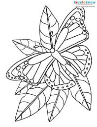 Who is not amazed by the tranquility that each of their flights reverberates? Free Butterfly Coloring Printable Pages Lovetoknow