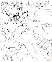 Koalas Coloring Pages Free Coloring Pages Zoo Animal Coloring Pages Bear Coloring Pages Animal Coloring Pages