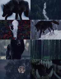 Werewolf day 26 aesthetic challenge aesthetic ception amino. Aloofaesthetique Black Wolf Aesthetic For Anon Werewolf Aesthetic Magic Aesthetic Art