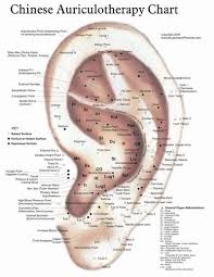 chinese auriculotherapy chart acupuncture ear reflexology