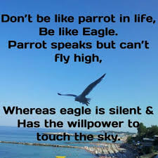 Cannot Fly Birds That Don T Fly Don T Be Like Parrot In Life Be Like Eagle Parrot Speaks But Can T Fly High Whereas Eagle Is Silent Has The Islamic Quotes Willpower Inspirational Quotes