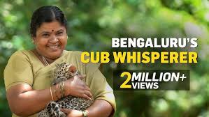 Tiger And Lion Safari at Sanjay Gandhi ...