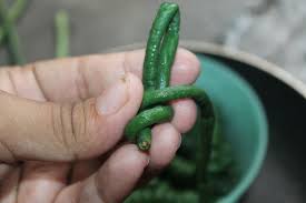 Tumis kacang panjang tempe bahan : Resep Kacang Panjang Tumis Dentist Chef
